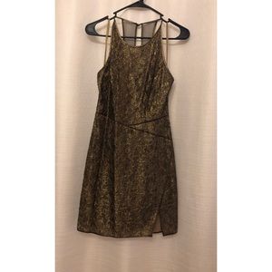 BCBG lace cocktail dress